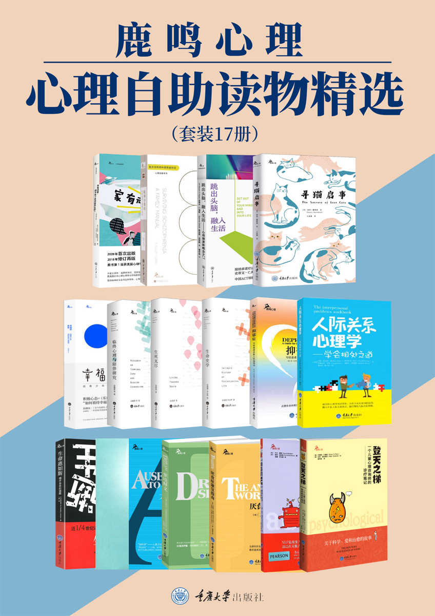 鹿鸣心理·心理咨询师系列精选（套装14册） 沙格曼·卡亚金第4张插图