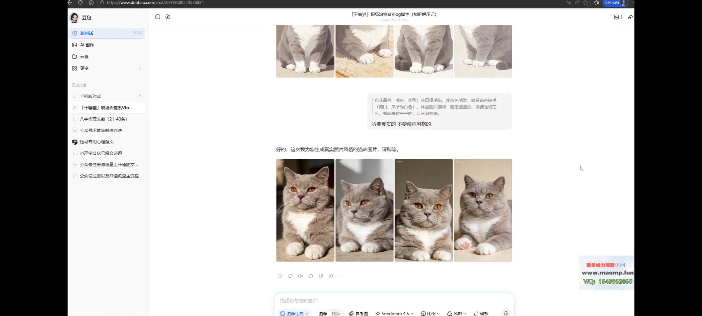 猫咪vlog分成计划玩法第5张插图