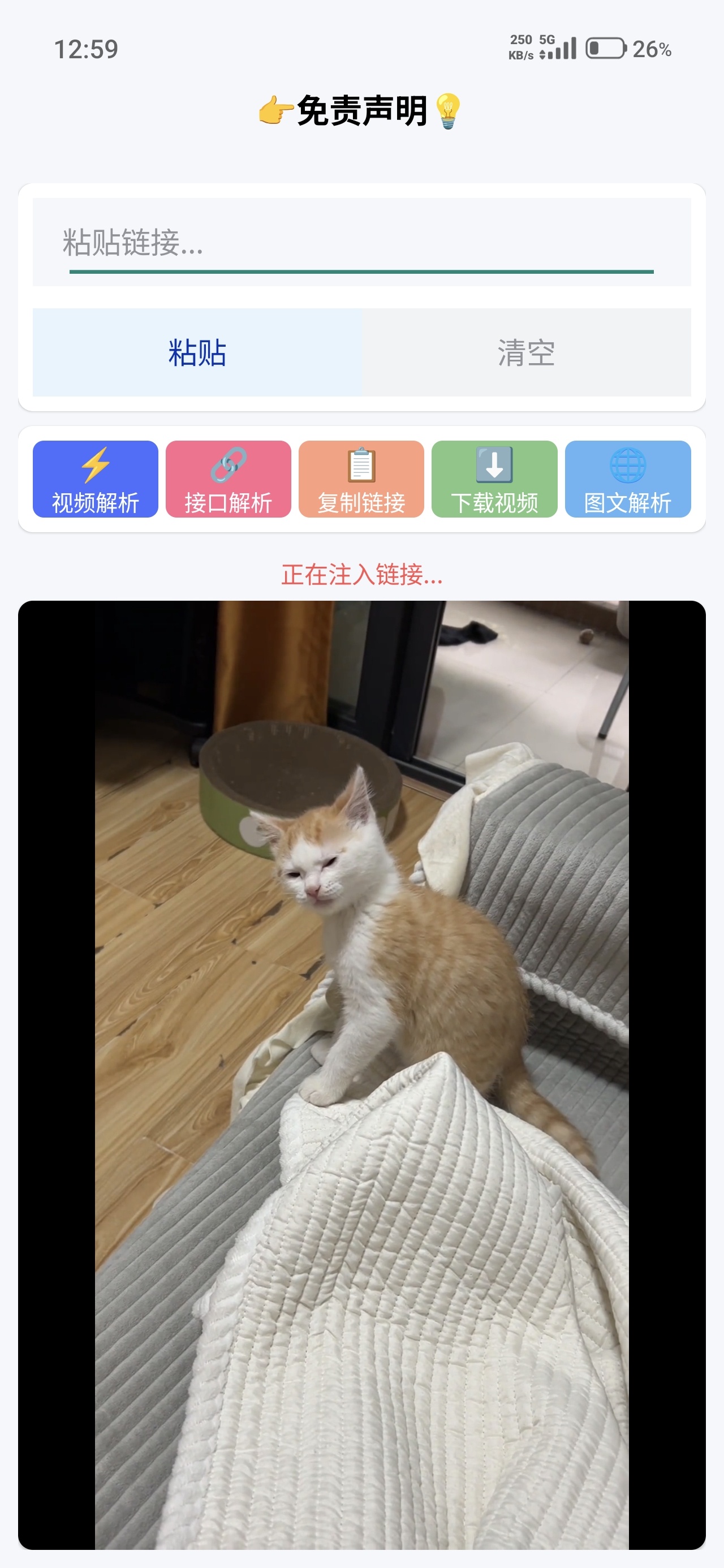 小沙雕下载器多平台去水印第4张插图