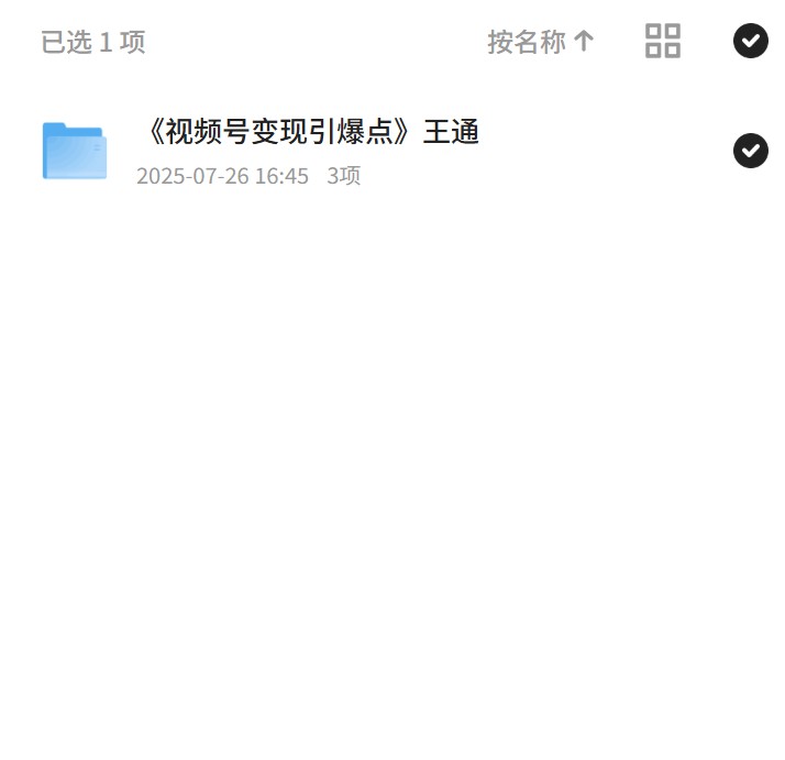 《视频号变现引爆点》王通第4张插图