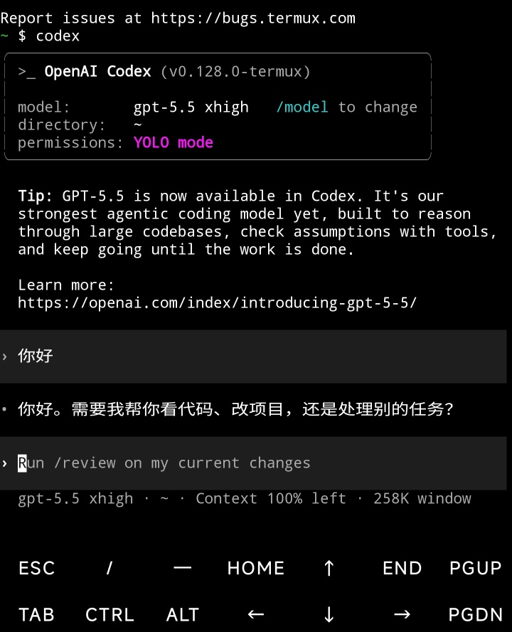 手机上原生使用codex，另有gpt5.5 api额度体验第3张插图