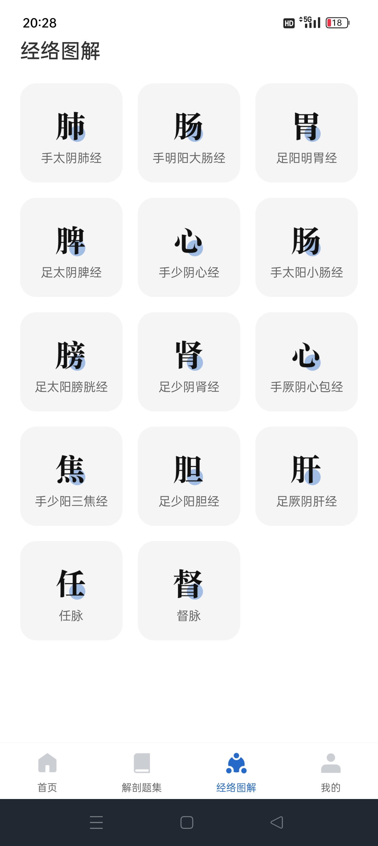 人体解剖图集专业人体解剖知识解锁会员第7张插图