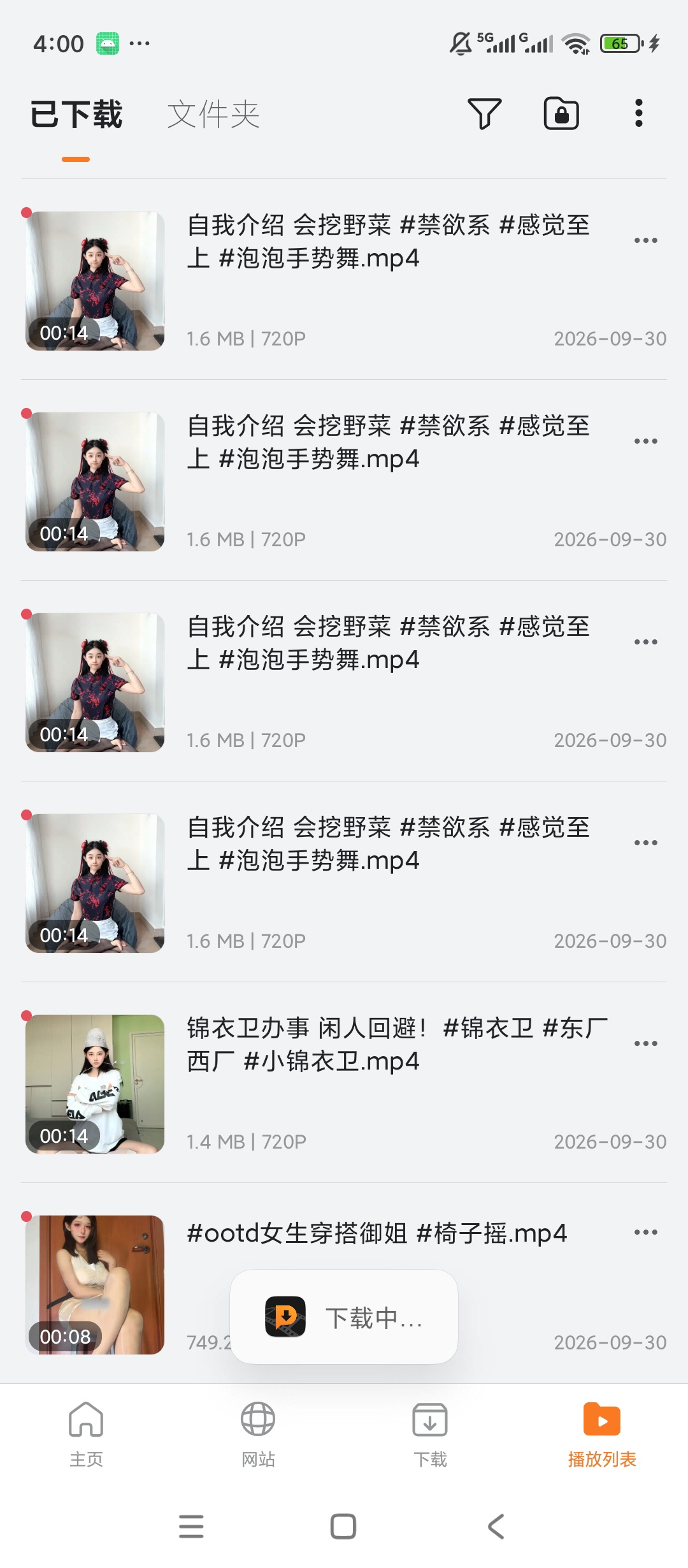 PDownloader高级版社交平台视频下载工具第6张插图