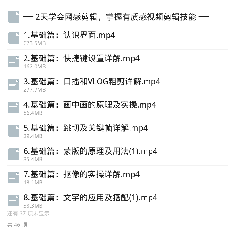 2天掌握网感剪辑法，视频秒变高级第5张插图