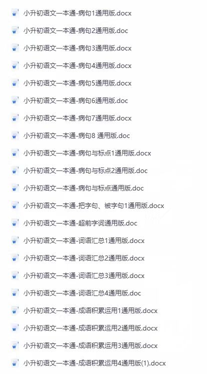 2027年小升初考试资料语文总复习专项知识点第4张插图