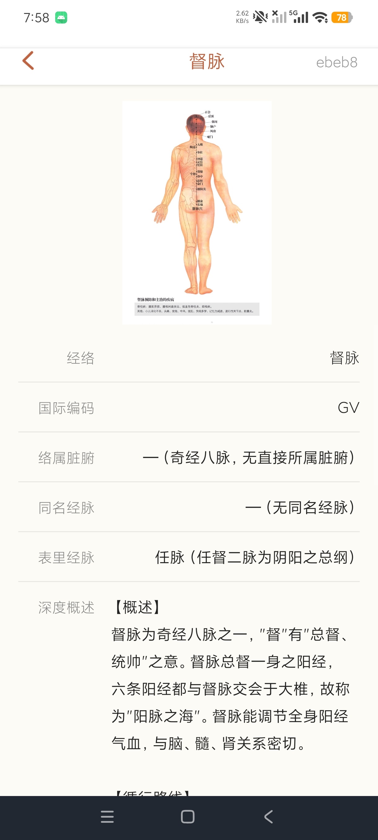 穴位经络宝典中医经络穴位自查+自学针灸神器嘎嘎猛第9张插图