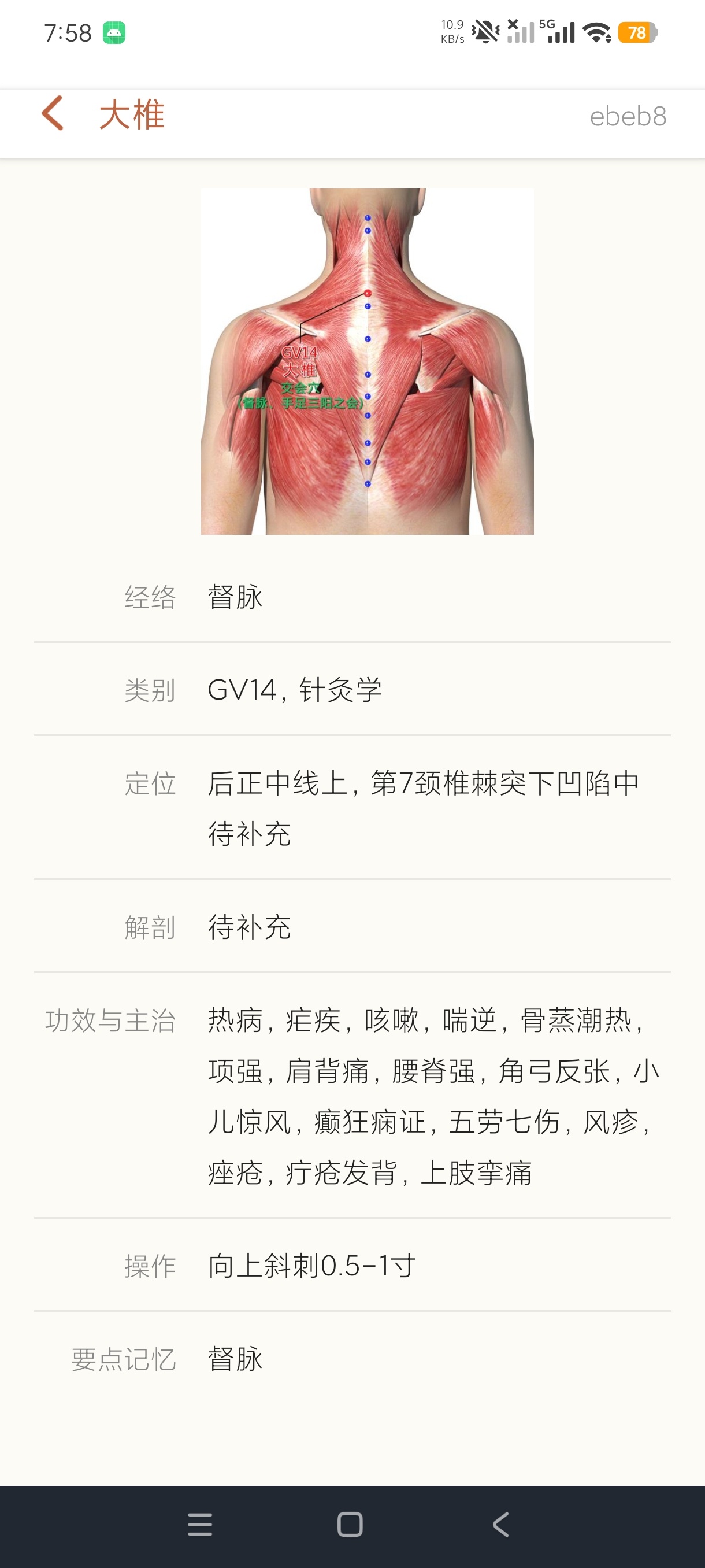穴位经络宝典中医经络穴位自查+自学针灸神器嘎嘎猛第5张插图
