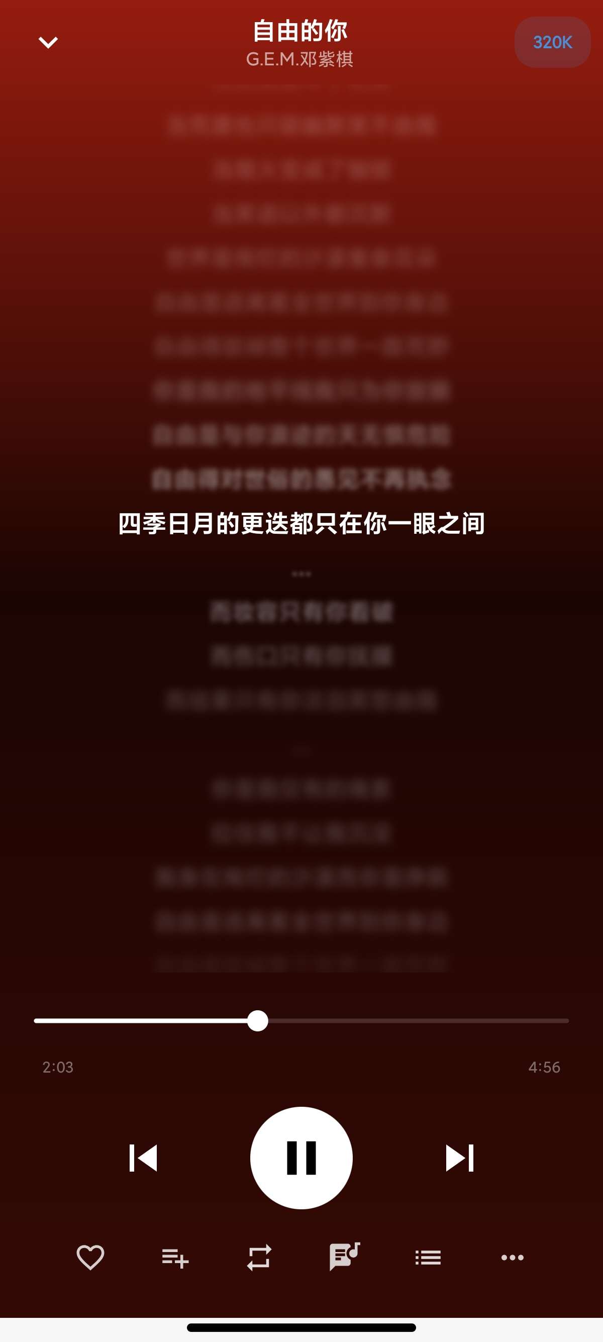 树夏Music聚合全网音乐平台支持车机第7张插图 树夏Music聚合全网音乐平台支持车机第7张插图