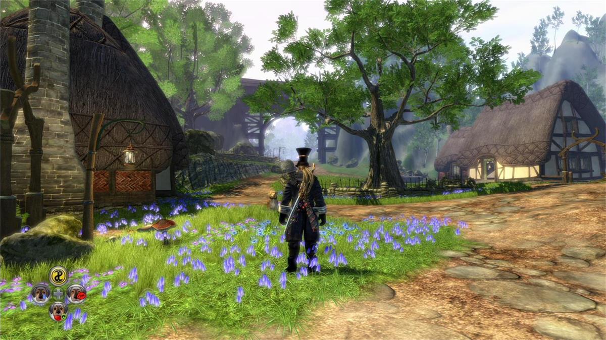《神鬼寓言2:年度版》xbox移植第5张插图 《神鬼寓言2:年度版》xbox移植第5张插图